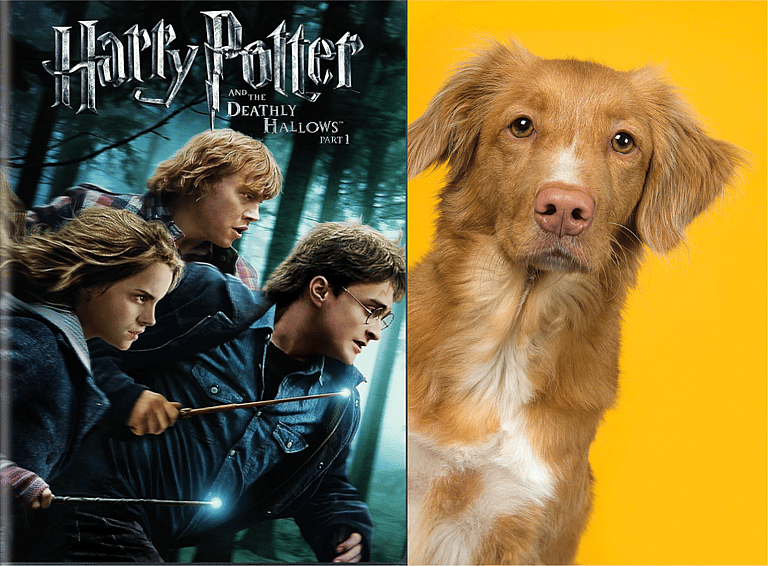 Harry Potter Dog Names