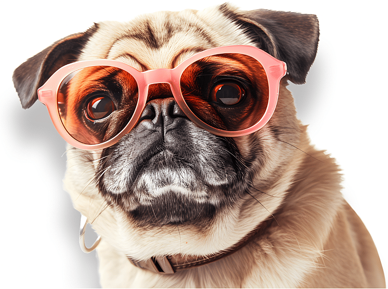 Pug Names