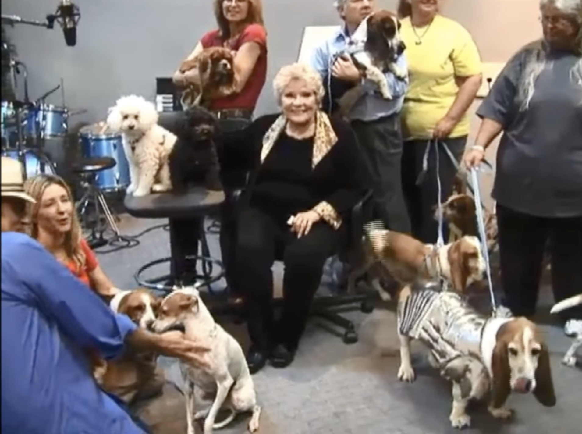 How "How Much is That Doggie in the Window?" Became a Song Advocating for Adoption