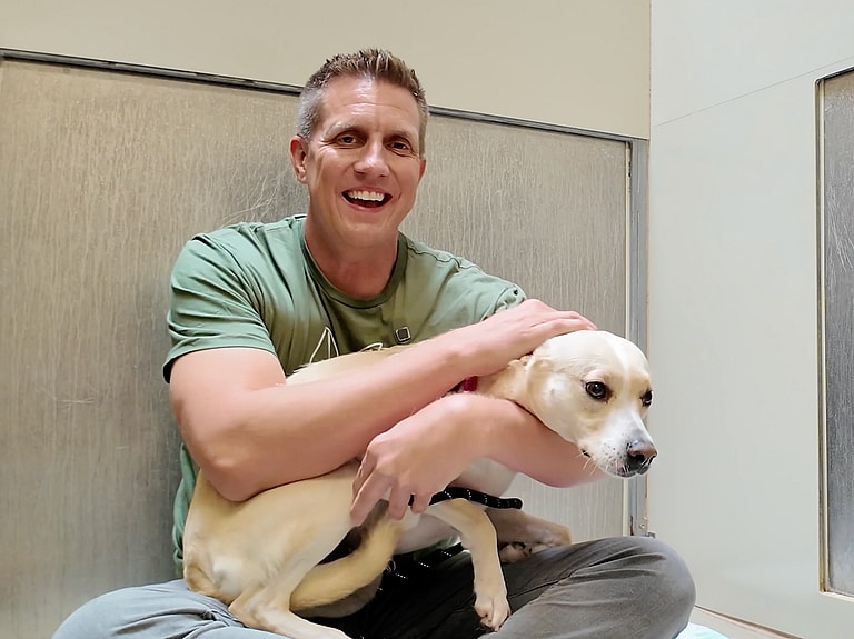 sitting with dogs 54