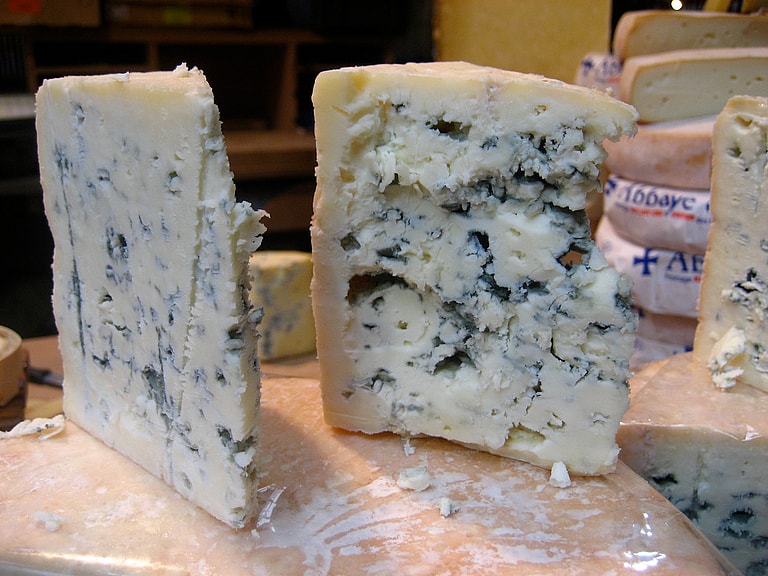 Can Dogs Eat Cheese?