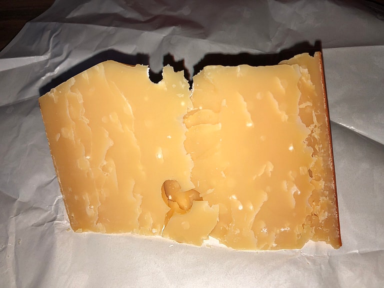 Can Dogs Eat Cheese?