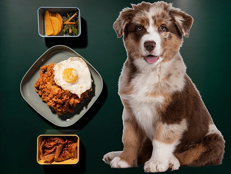 Asian Food-Inspired Names For Dogs