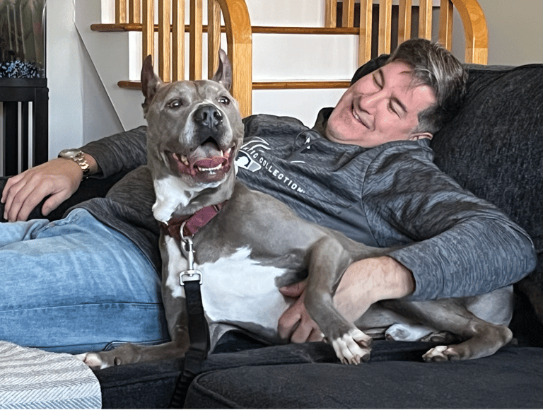 dog rescue : Shelter Dog's Heartbreaking 6-Year Stay: The Truth Behind His 'Rescue Only' Status