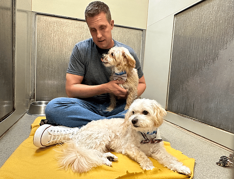 sitting with dogs Bucky and Buddy