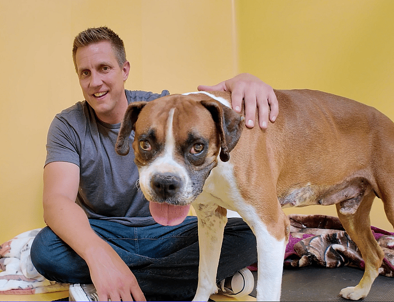 Sitting With Dogs #48: Sinatra