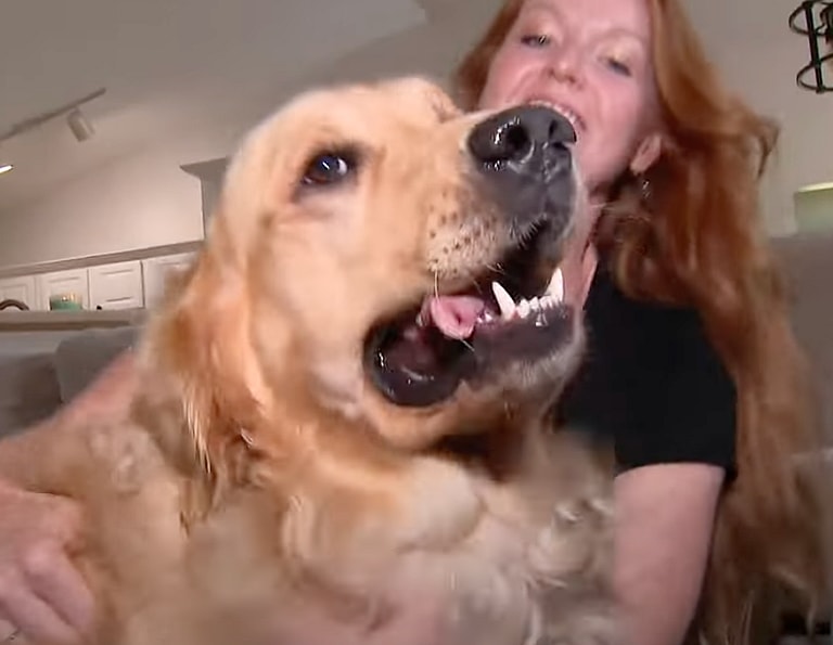 Quick-Thinking Dog Mom Saves Pup After Freak Accident with Fur Sibling—Her Inspiring Rescue Story & What You Can Do