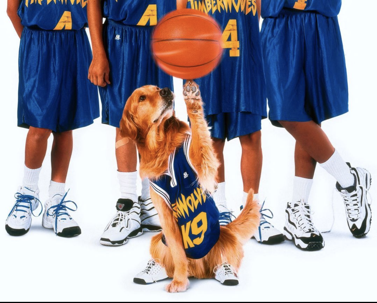 Canine Movie Stars