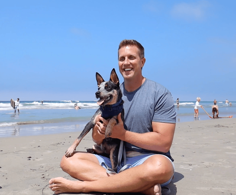 Bean's Dog's Day Out