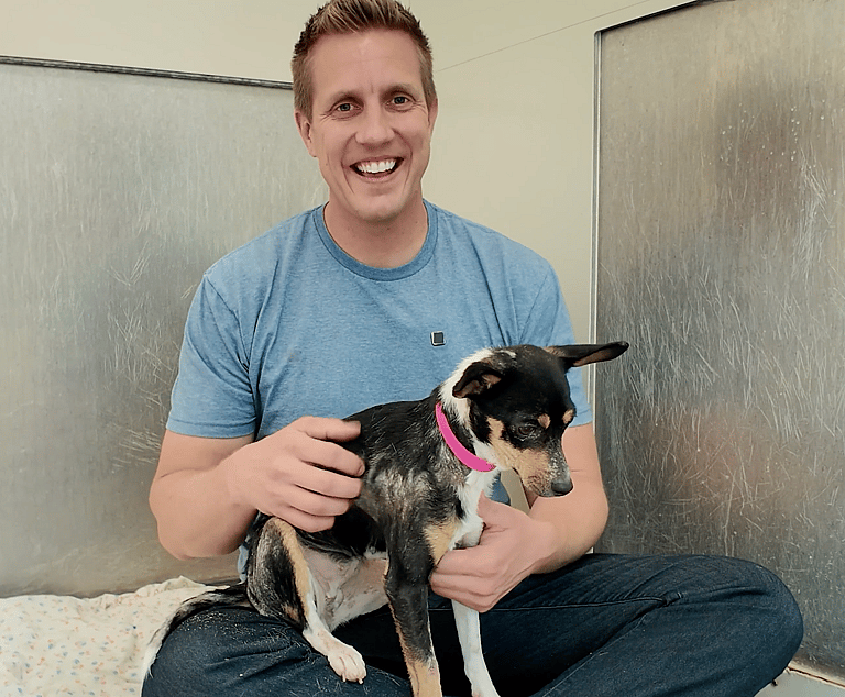 Sitting with dogs 42