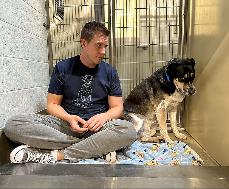 Dog up for adoption: Discarded Dog Hopes for Storybook Ending Like "Arthur the King"