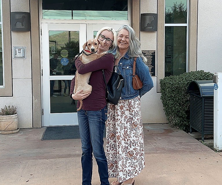 sitting with dogs honey