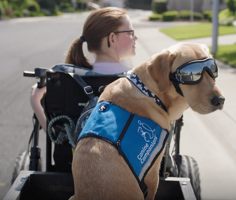How This Service Dog Transformed a 12-Year-Old Girl’s  Life After Paralysis