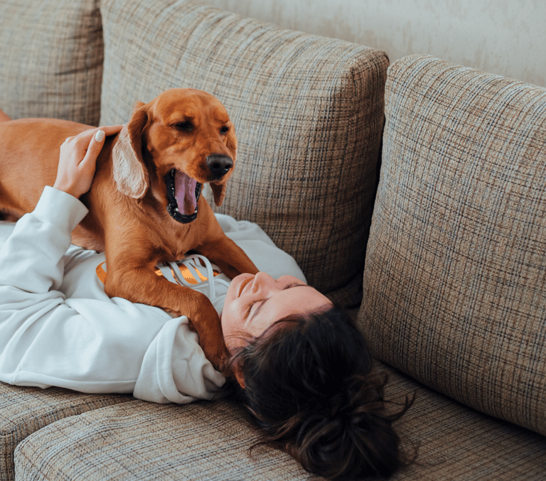 dogs yawning
