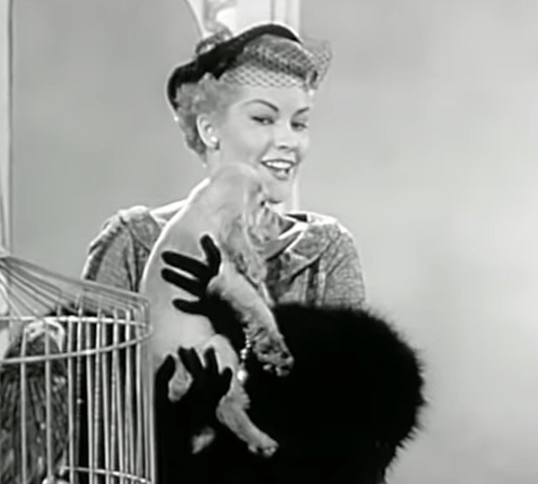 How "How Much is That Doggie in the Window?" Became a Song Advocating for Adoption