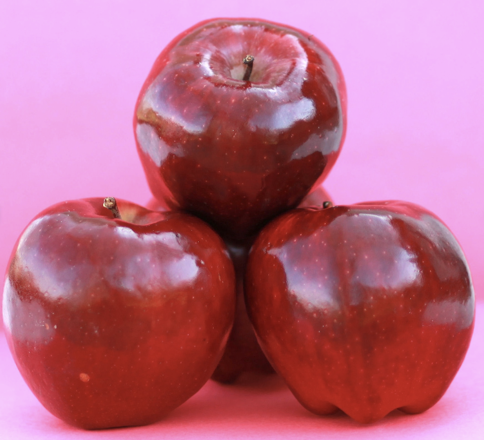 Can dogs eat apples?