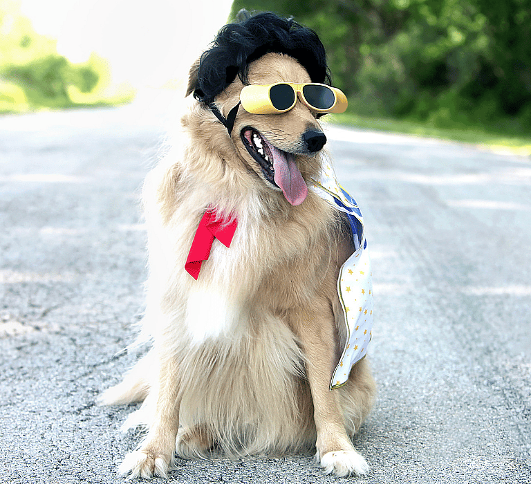 Italian Dog Names