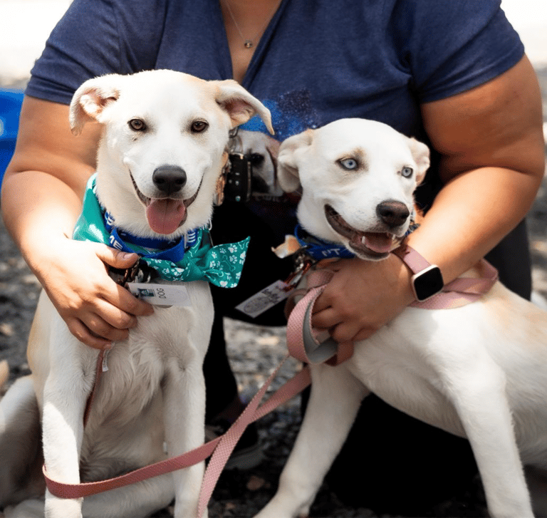 Betty (with Blue Eyes) & Beau