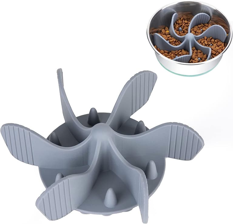 Slow Feeders For Dogs