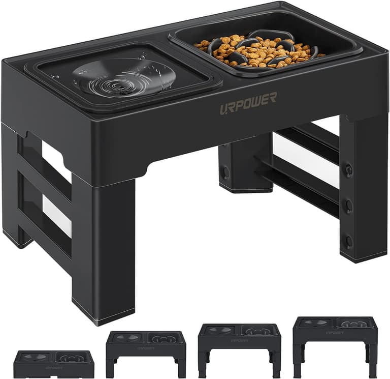 Slow Feeders For Dogs