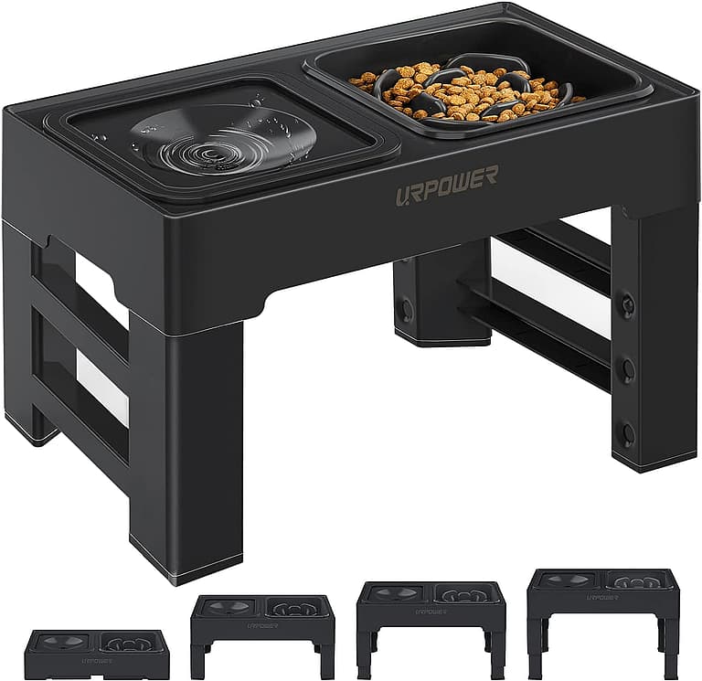 Slow Feeders For Dogs