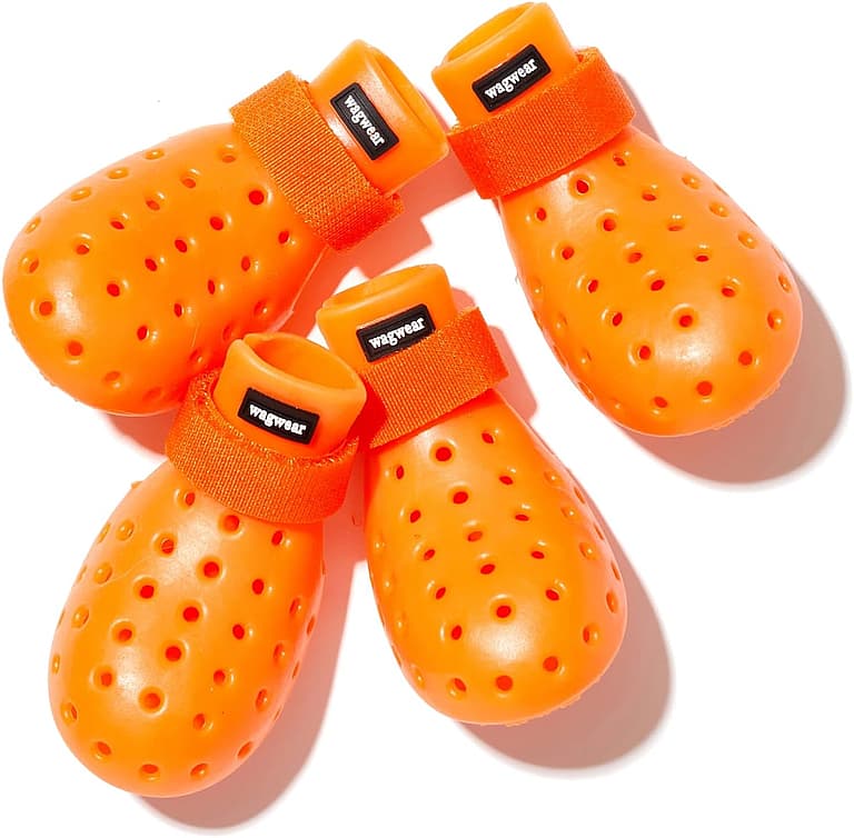 Crocs For Dogs