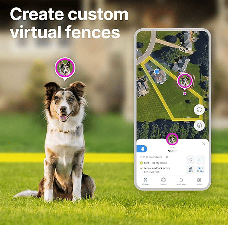 Top 6 Dog Collars & Tags With Built-In Tracking Devices Better Than AirTag