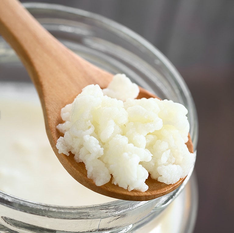 What To Feed a Dog With an Upset Stomach