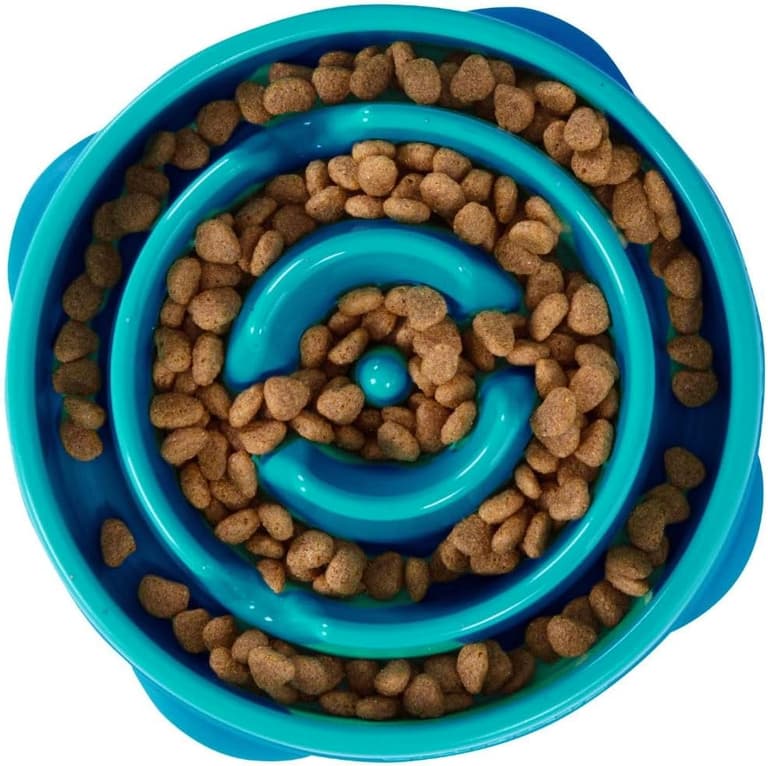 Slow Feeders For Dogs