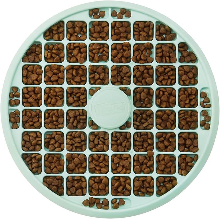 Slow Feeders For Dogs