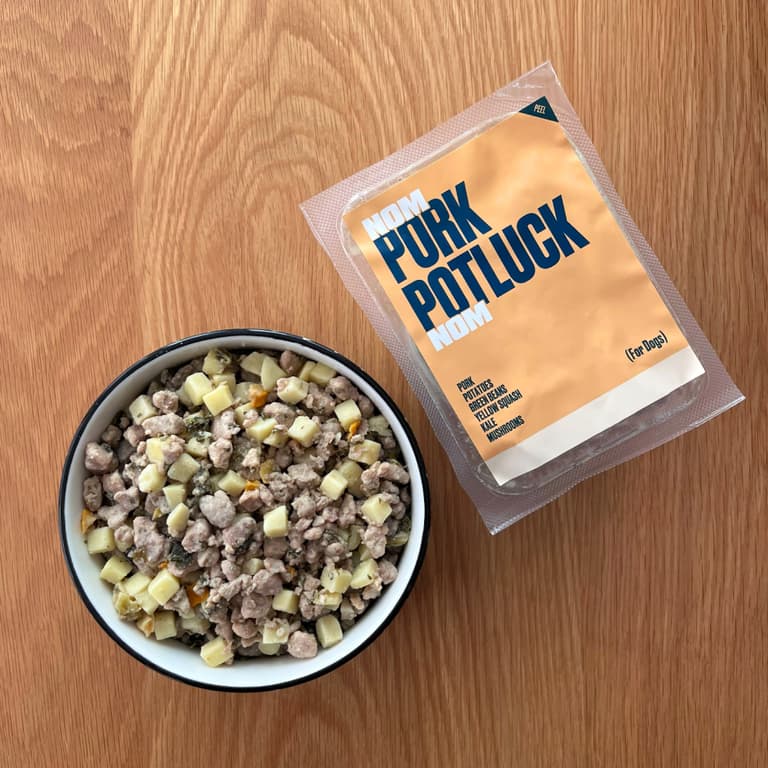 Best Dog Foods for Dogs with Allergies