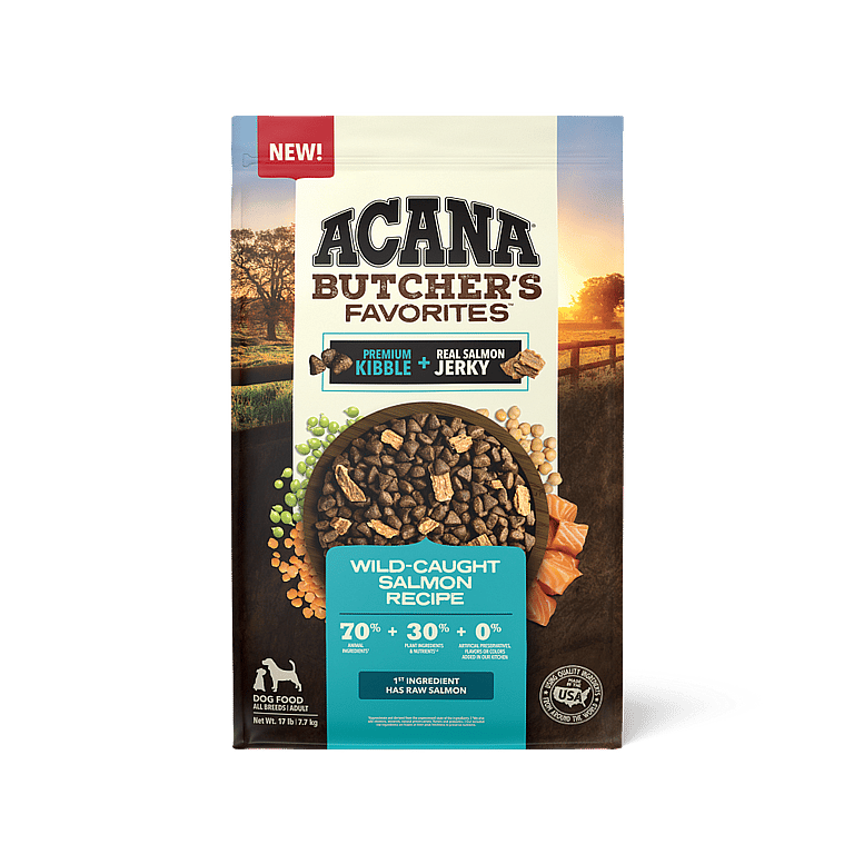 Best Dog Foods for Dogs with Allergies