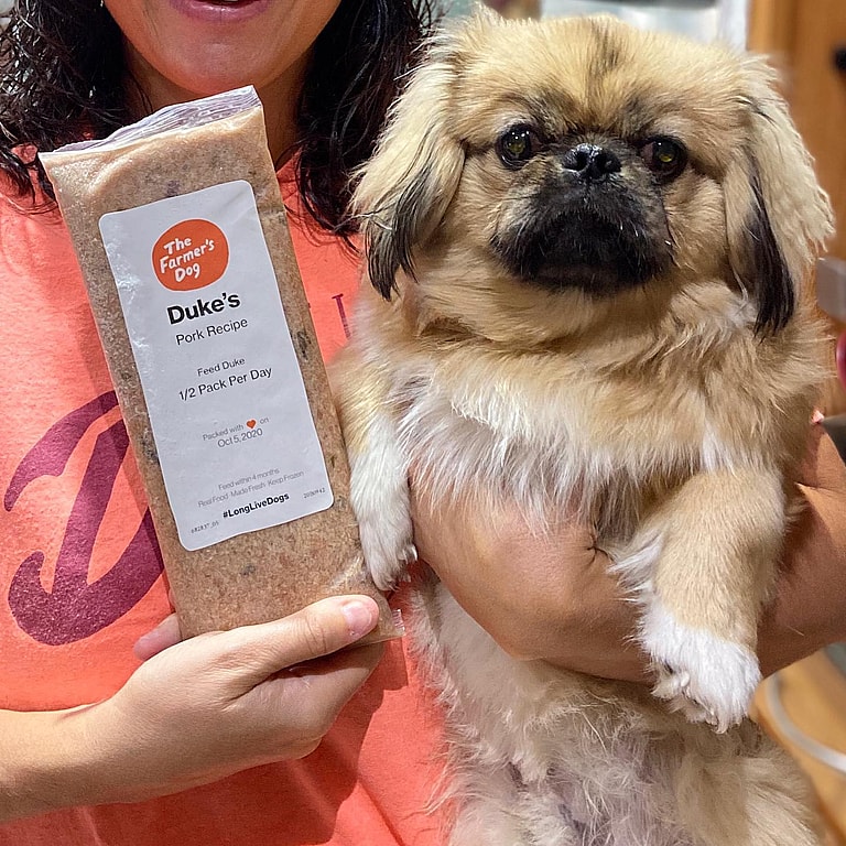 Best Dog Foods for Dogs with Allergies