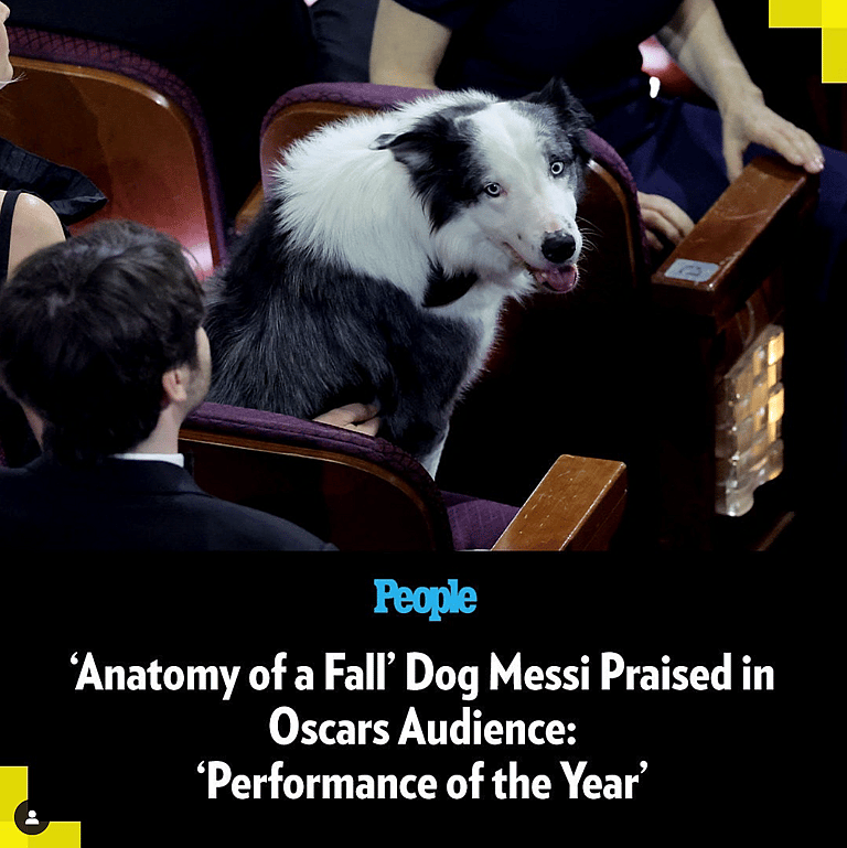 Canine Movie Stars