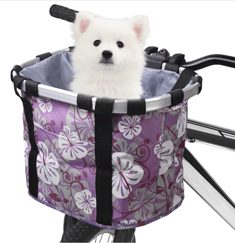best bike basket for small dogs