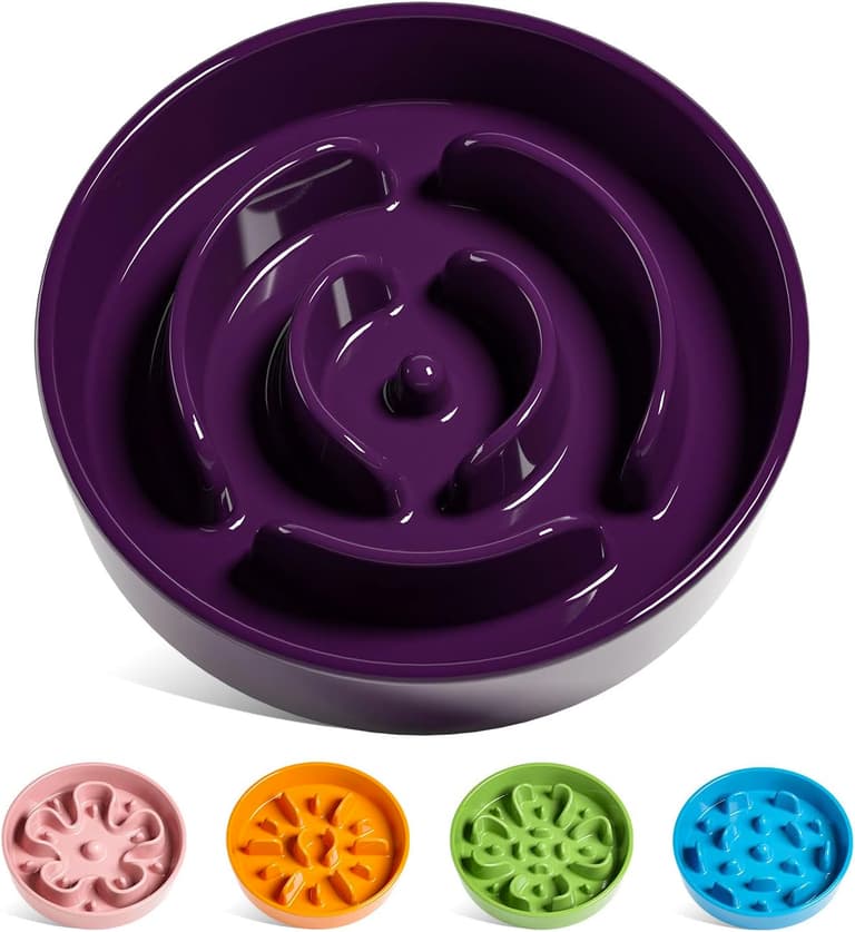 Slow Feeders For Dogs
