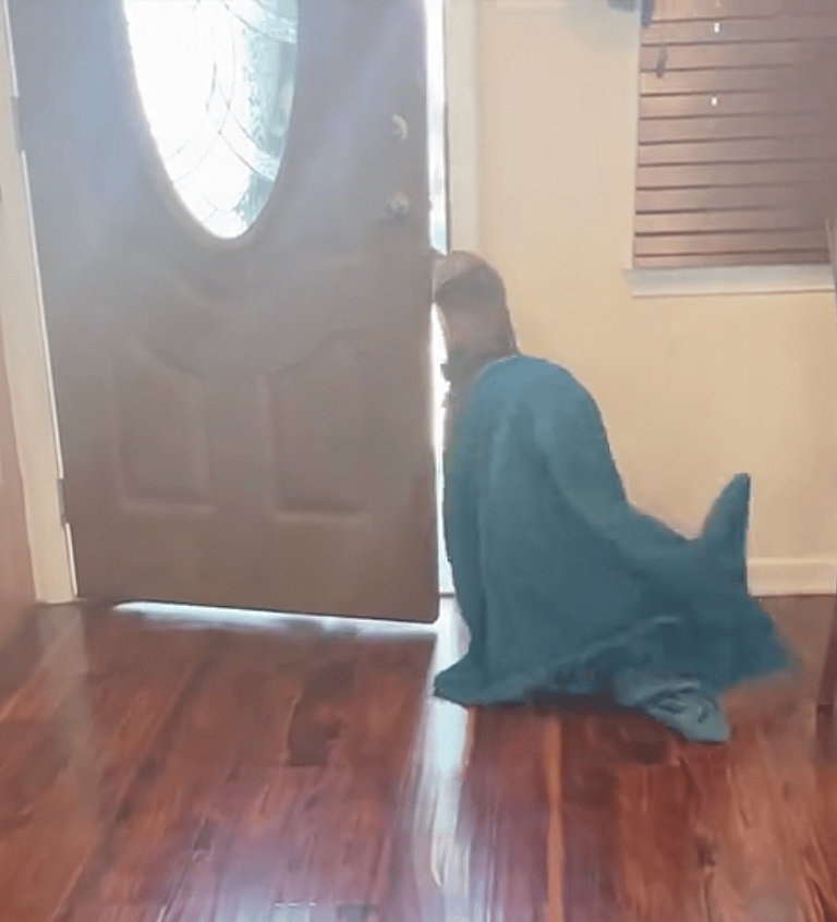 Dog Rescue: Dog Refuses to Go Anywhere Without His Security Blanket, And It's Adorable