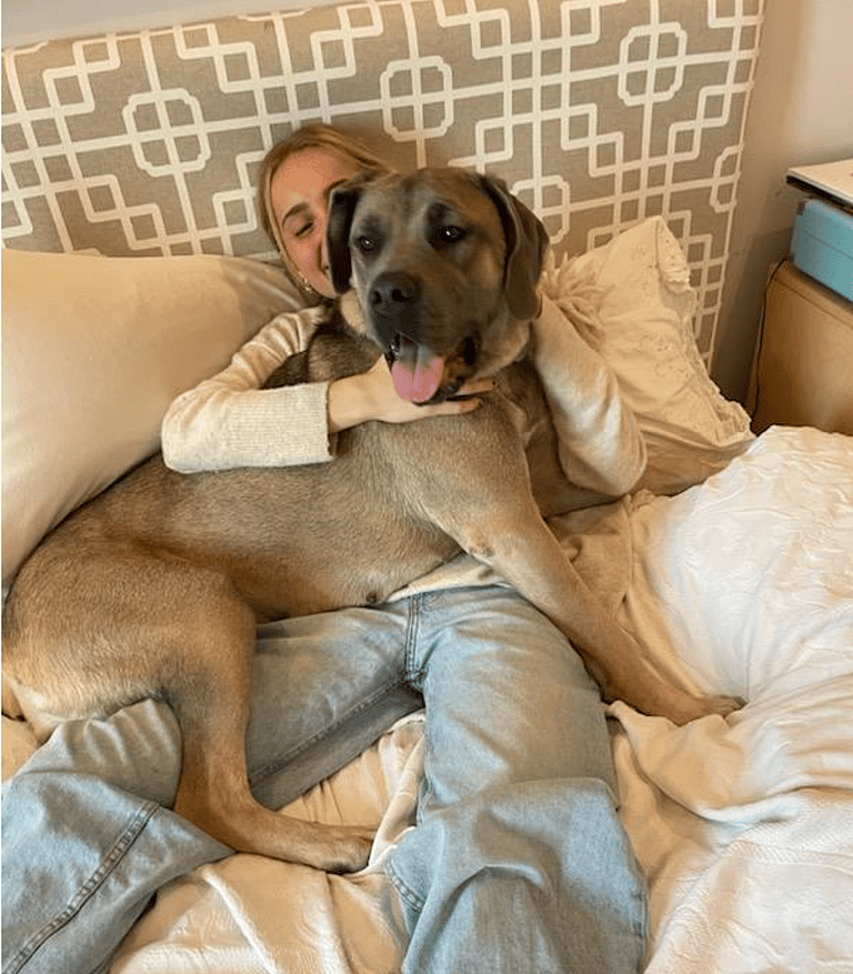 Mama Dog Still Waiting after 150 Days