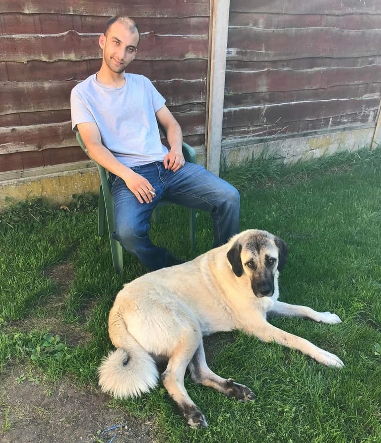 Kangal Dog