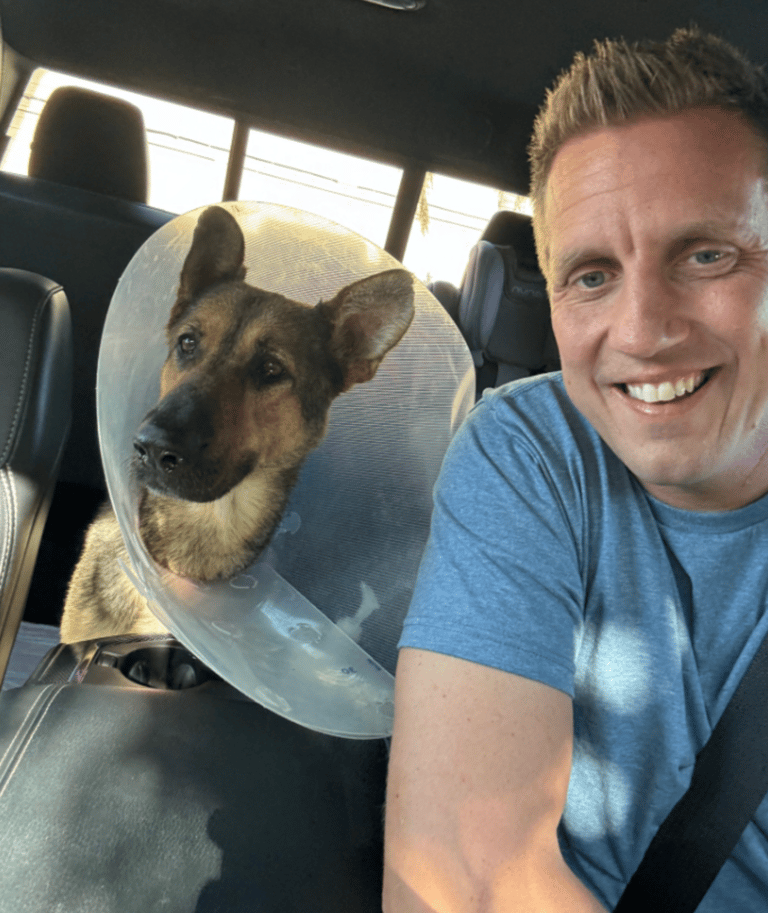 dog root canal