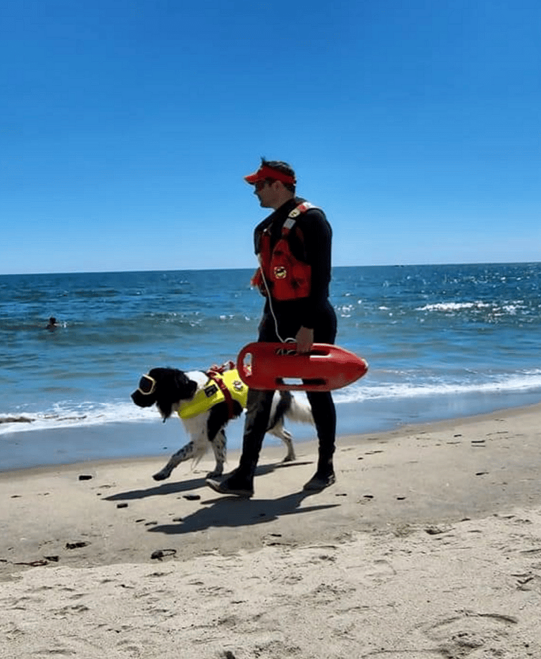This Big Brave Dog Breed May Be the Answer to America's Lifeguard Shortage