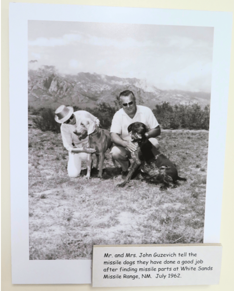 Here's How This Weimaraner Became a Surprising Cold War Hero