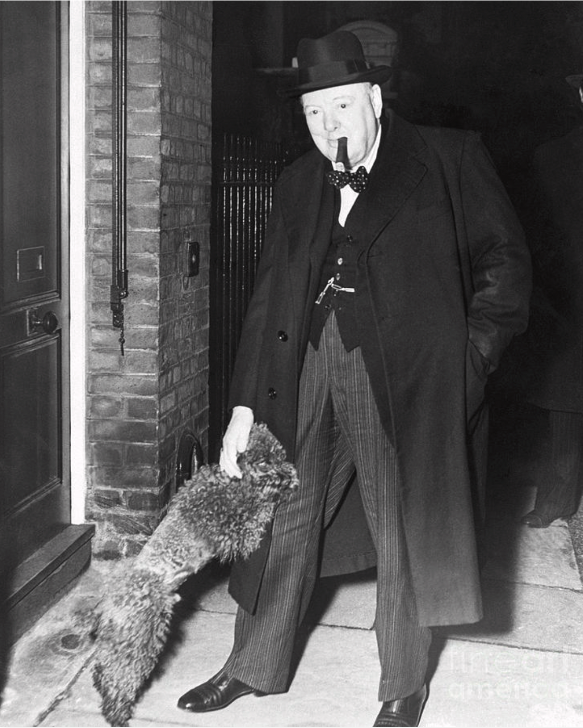 Rufus, Winston Churchill's Poodle