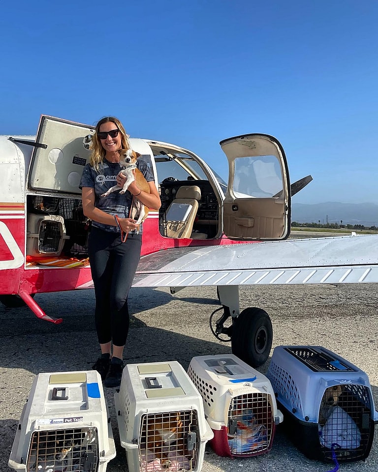 Animal Transporters