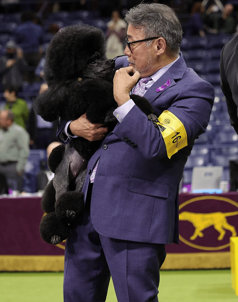 Westminster dog show