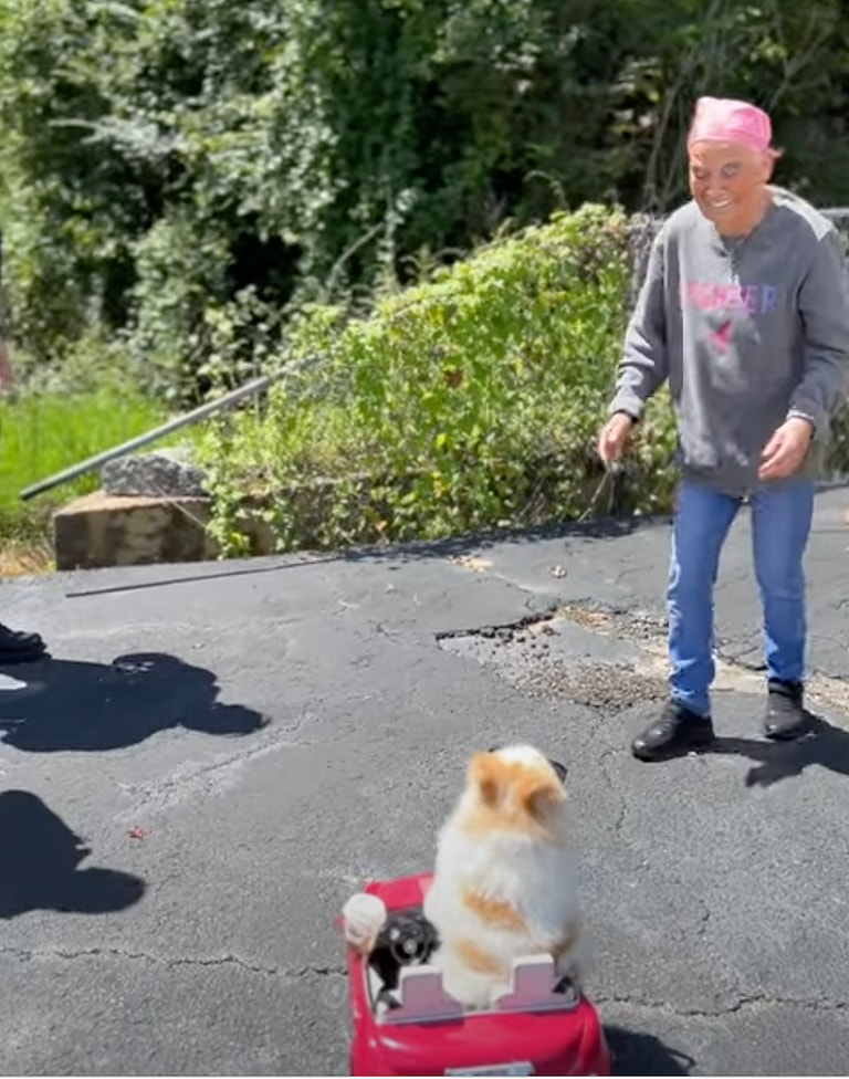 How a Viral Therapy Dog Brought Joy to a Cancer Patient's Final Weeks