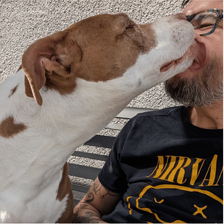 Celebrities Own Pitbulls - Wil Wheaton