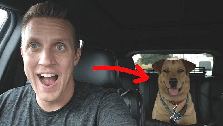 I broke this shelter dog out for Thanksgiving!