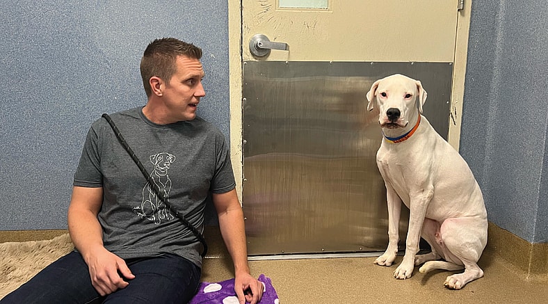 Frozen in Fear, Saved by Love: The Shelter Journey of Casper the Dogo Argentino