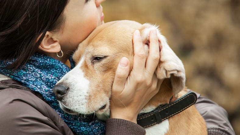 Sad dog hugged by owner